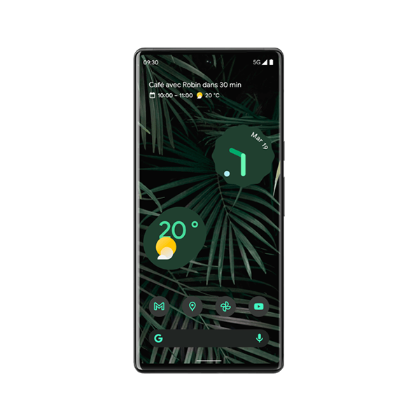 Pixel 6 Pro
